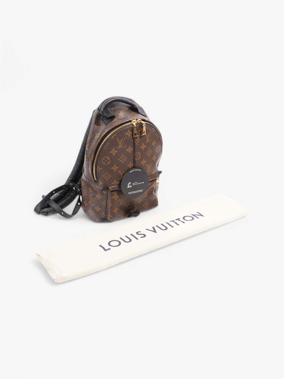 Louis Vuitton Palm Springs Monogram / Black Coated Canvas Medium