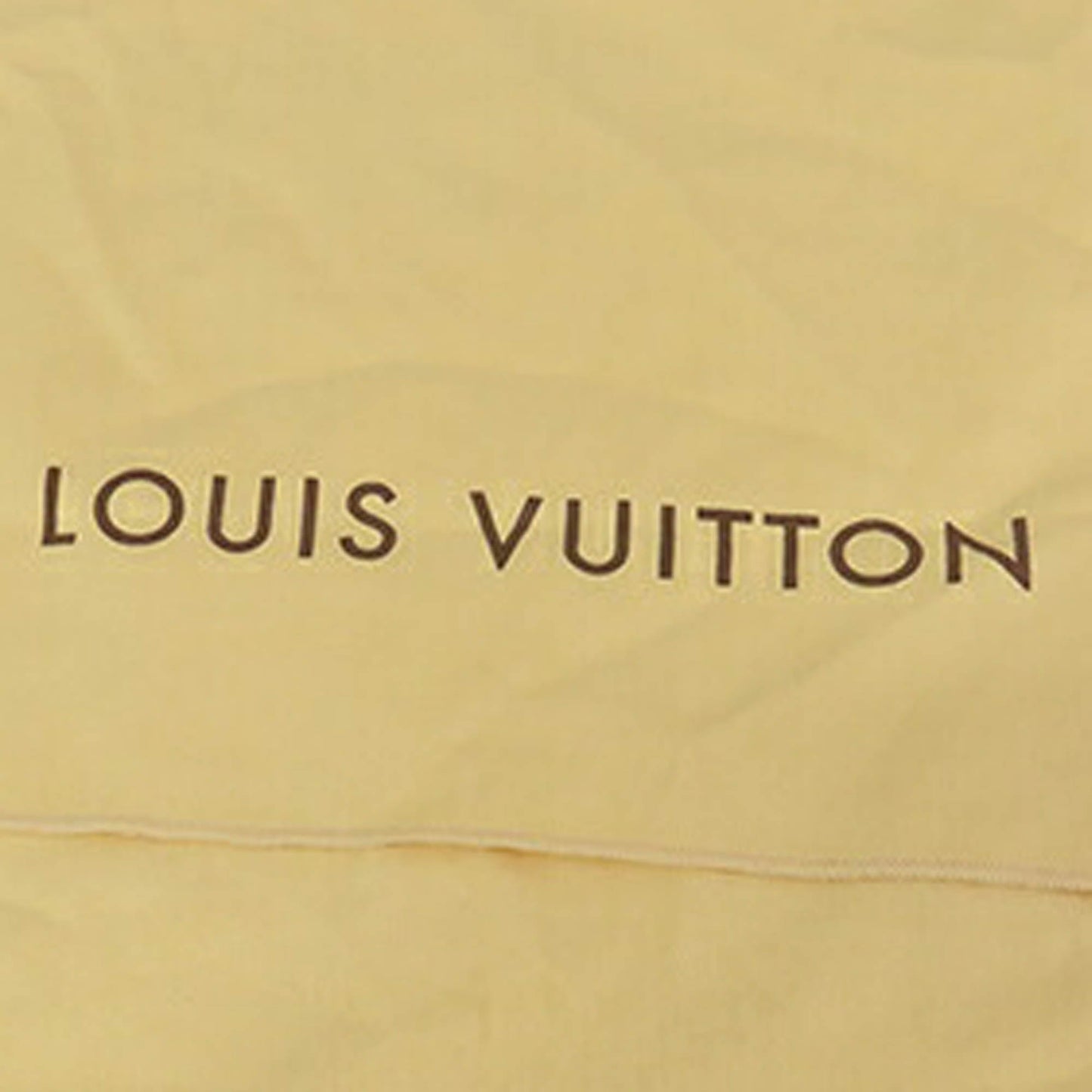 Louis Vuitton Damier Ebene Saleya PM Brown
