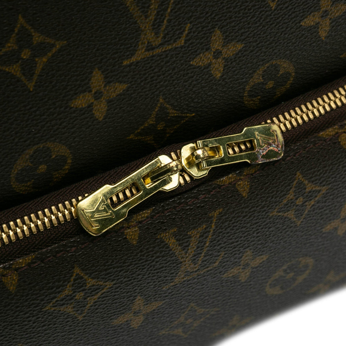 Louis Vuitton Monogram Evasion Brown