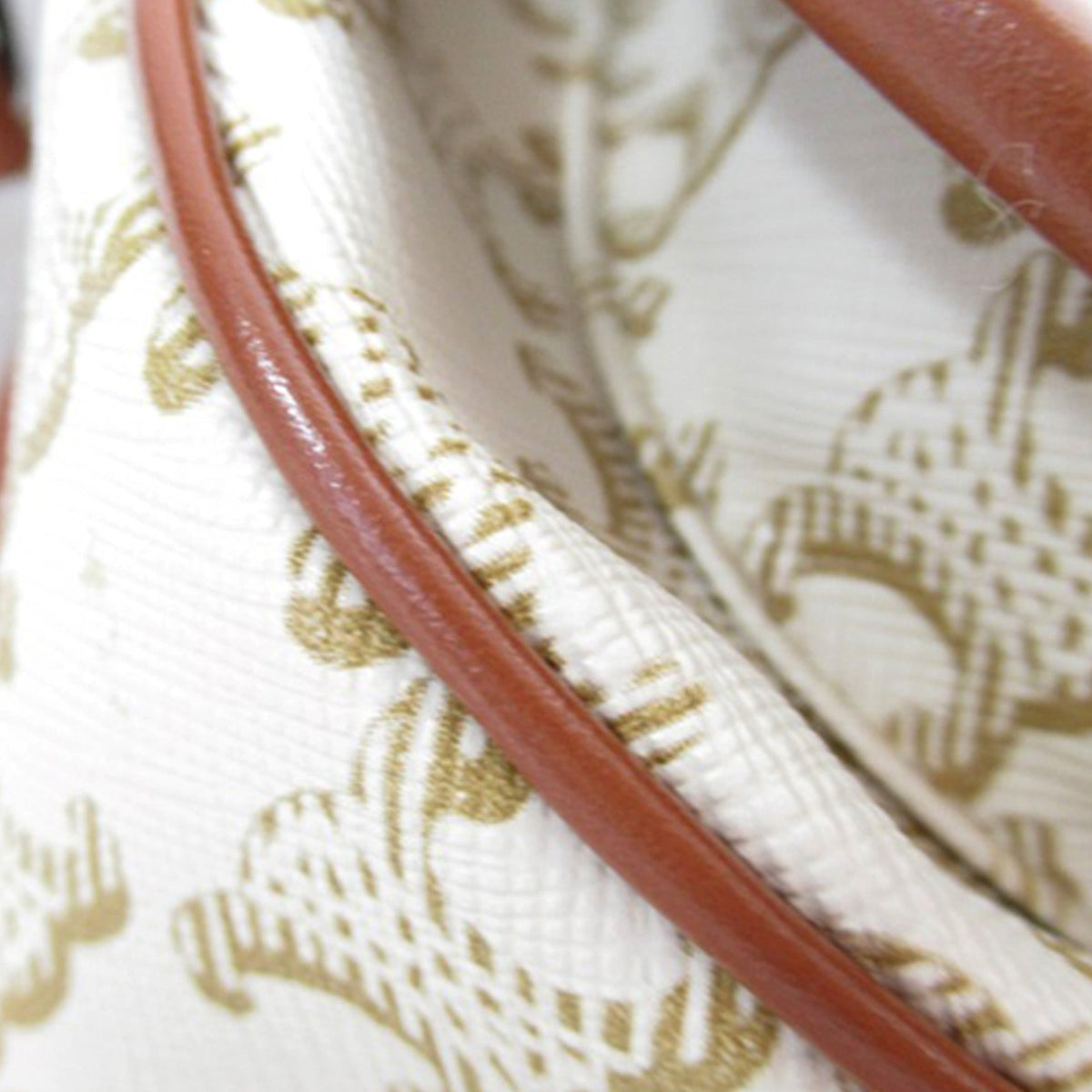 Celine Monogram Triomphe Crossbody White